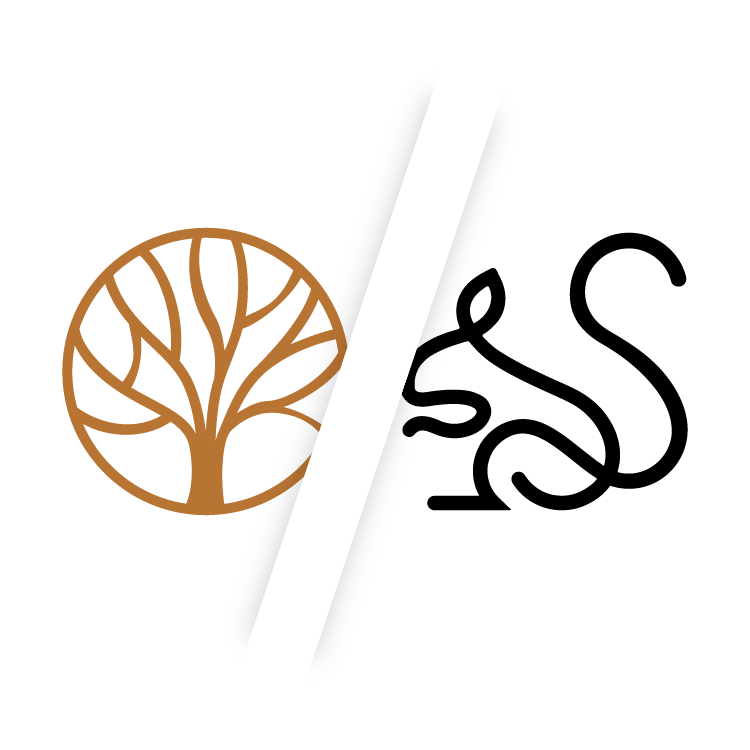 bent oak black squirrel